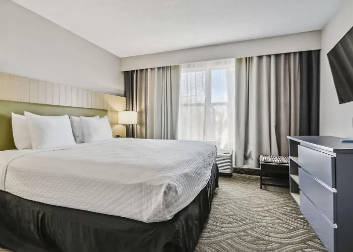 Country & By Radisson, Chicago O'hare South, Il Hotel Bensenville