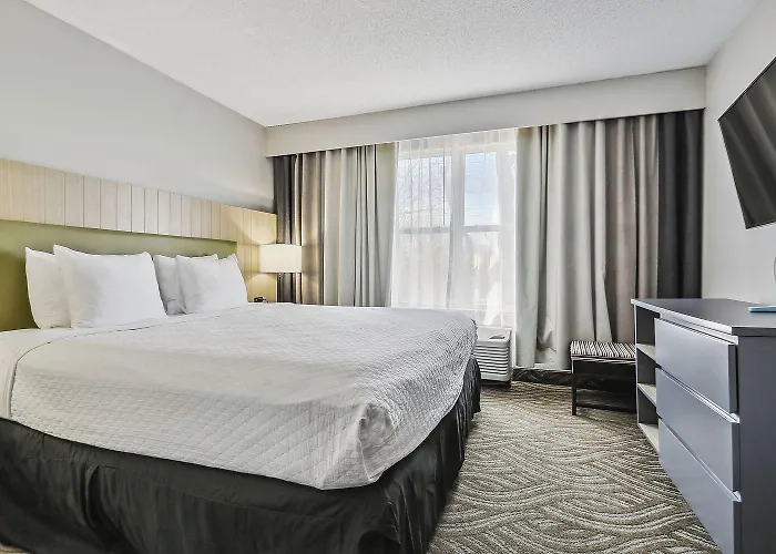Hotel Country & By Radisson, Chicago O'hare South, Il 3*