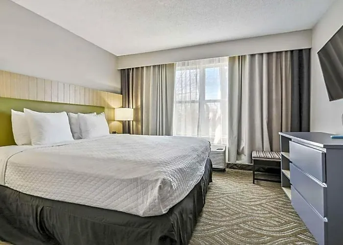 Country & By Radisson, Chicago O'hare South, Il 3*